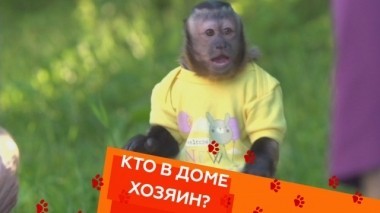 Выпуск двадцать четвертый 07.09.2018