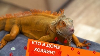 Выпуск двадцать девятый 12.10.2018