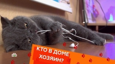 Выпуск двадцать первый 09.06.2018