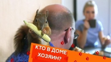 Выпуск двадцать пятый 14.09.2018