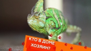 Выпуск двадцать седьмой 28.09.2018