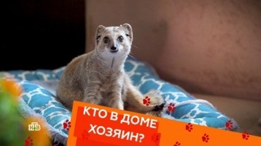 Выпуск двадцать восьмой 05.10.2018