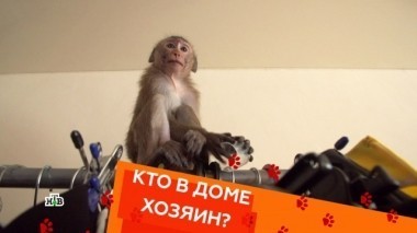 Выпуск одиннадцатый 29.03.2018