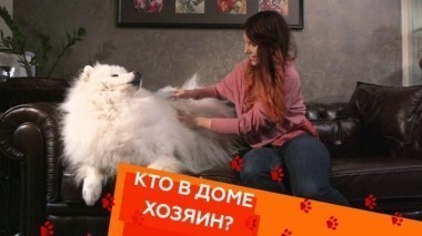 Выпуск первый 19.01.2018