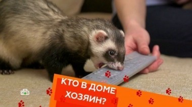 Выпуск пятнадцатый 29.04.2018