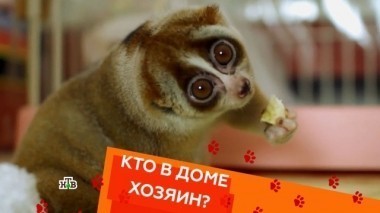 Выпуск пятый 16.02.2018