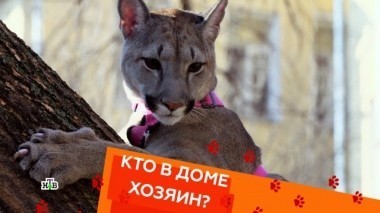 Выпуск шестнадцатый 05.05.2018