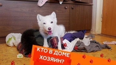 Выпуск шестой 23.02.2018