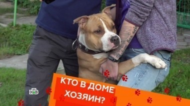 Выпуск третий 02.02.2018