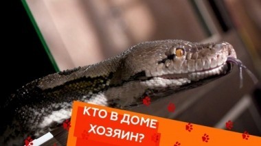 Выпуск тридцать восьмой 14.12.2018