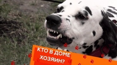 Выпуск восемнадцатый 18.05.2018