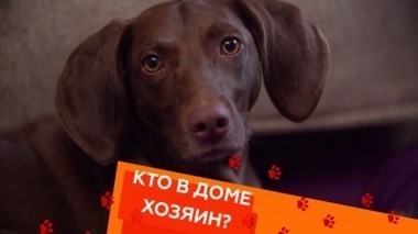 Выпуск восьмой 08.03.2018