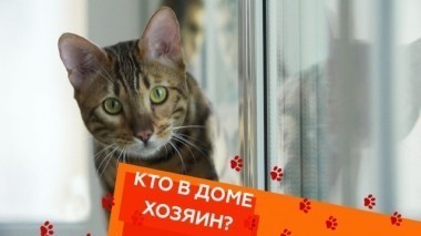 Выпуск второй 26.01.2018