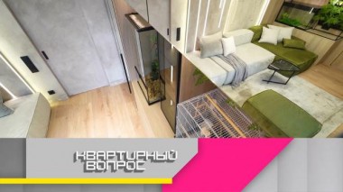 Зеленый интерьер для питомцев и их хозяев с зонами отдыха и хранения 13.05.2023