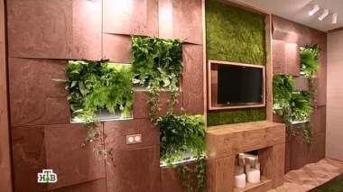 Живая скала в природной спальне для молодых спортсменов 19.09.2014