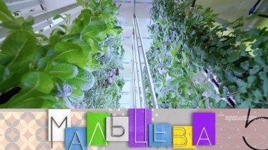 Что растет на сити-фермах и как не остаться в одиночестве 26.05.2019