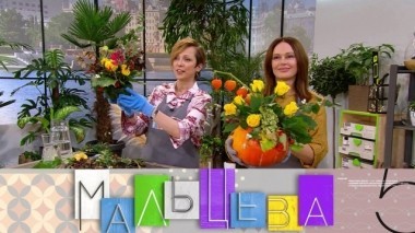 Цветочные приметы от Ирины Безруковой, марокканская треска и новые функции посудомоечной машины 29.10.2018