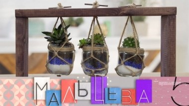 Домашняя клумба, сити-фермы и интерьер, вдохновленный путешествиями 14.11.2019