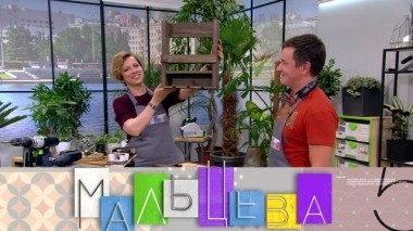 Стильная подставка для вина, дом на дереве для взрослых и коттедж без углов 15.11.2018