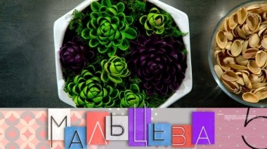 Суккуленты из скорлупок, интерьер без белого цвета и исправление дефектов дикции 31.10.2019