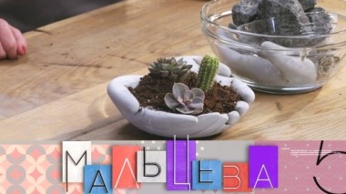 Ваза из цемента в форме рук, смелый образ для молодой мамы, фастфуд с фалафелем 26.06.2019