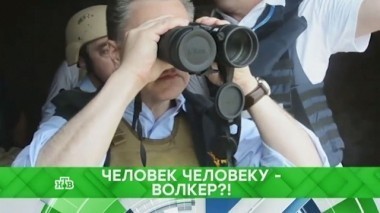 Человек человеку - Волкер?! 29.11.2017