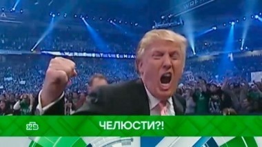 Челюсти?! 30.01.2019