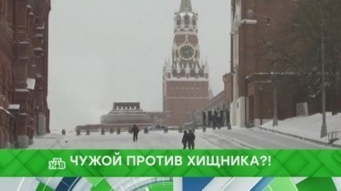 Чужой против хищника?! 26.12.2017