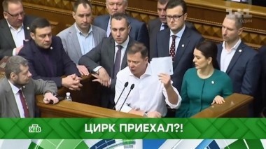 Цирк приехал?! 29.05.2019