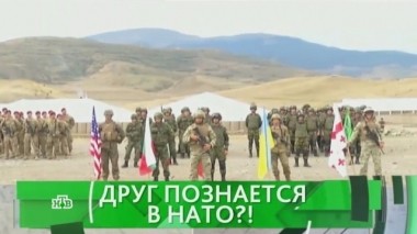 Друг познается в НАТО?! 08.09.2016