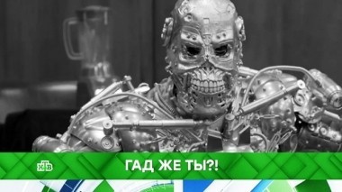 Гад же ты?! 28.09.2018