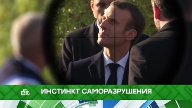 Инстинкт саморазрушения 14.11.2018