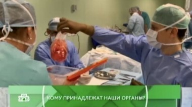 Кому принадлежат наши органы? 24.03.2016