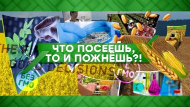 Что посеешь, то и пожнешь?! 01.06.2020