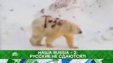 Наша Russia &mdash; 2: русские не сдаются?! 13.12.2019