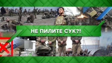 Не пилите сук?! 02.06.2022