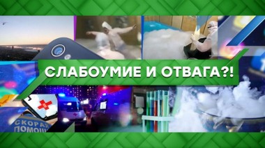 Слабоумие и отвага?! 02.03.2020