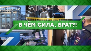 В чем сила, брат?! 03.02.2021