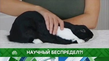 Научный беспредел?! 19.10.2018