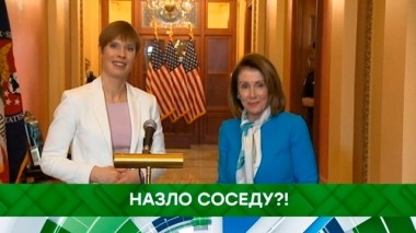 Назло соседу?! 14.03.2019