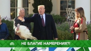 Не благие намерения?! 22.11.2018