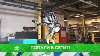 Попали в сети?! 07.03.2018