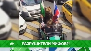 Разрушители мифов?! 22.06.2018