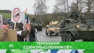 Террариум единомышленников?! 29.05.2018