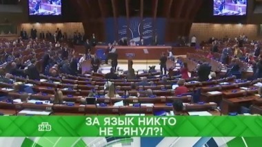 За язык никто не тянул?! 12.10.2017