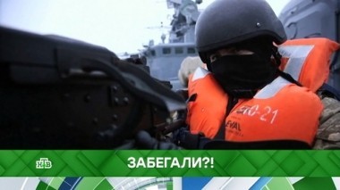 Забегали?! 18.12.2018