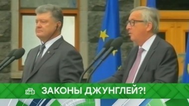 Законы джунглей?! 05.10.2017