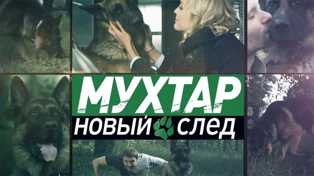 Мухтар. Новый след