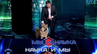 Через 10 лет наука объяснит феномен власти? 23.10.2023