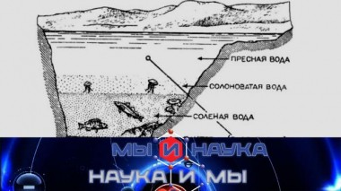 Через 10 лет наука объяснит все тайны воды? 21.03.2024